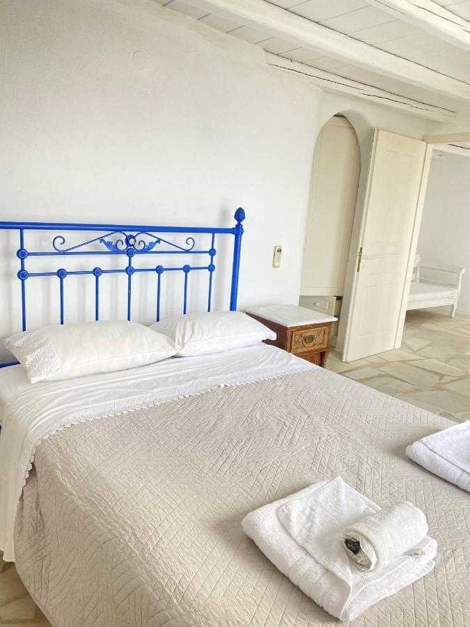 Blue Harmony Of Mykonos 公寓